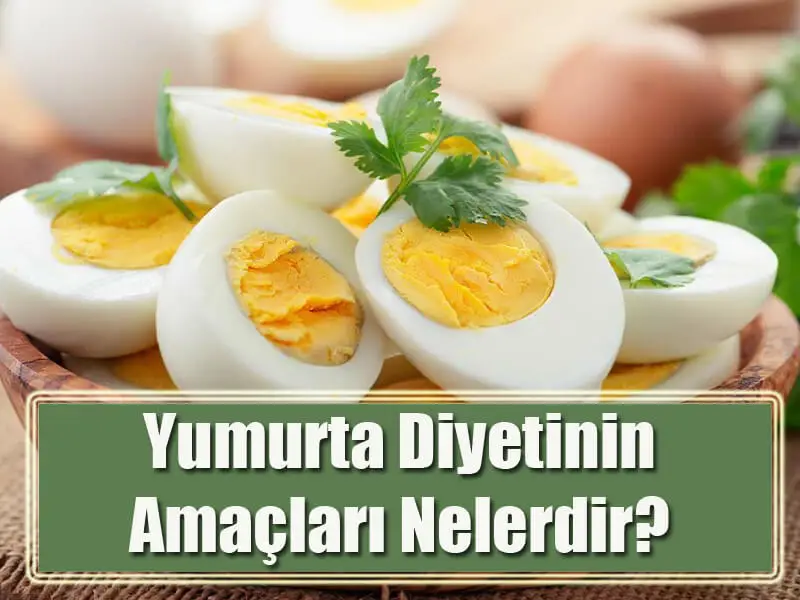 Yumurta Diyetinin Amaçları Nelerdir?